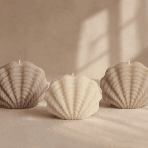 Bougie sculpturale coquillage