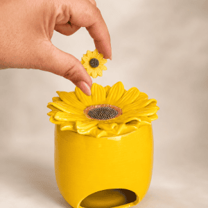 Fondants Tournesol (lot de 10) & Brûleur Fleur de Soleil