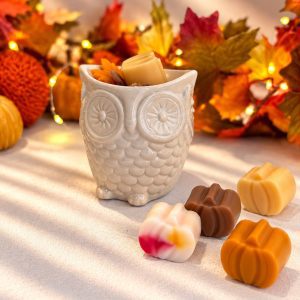 Coffret Veillée d'automne